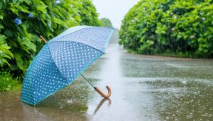 雨の中の水たまりと青い傘