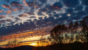 秋の夕焼けと雲海