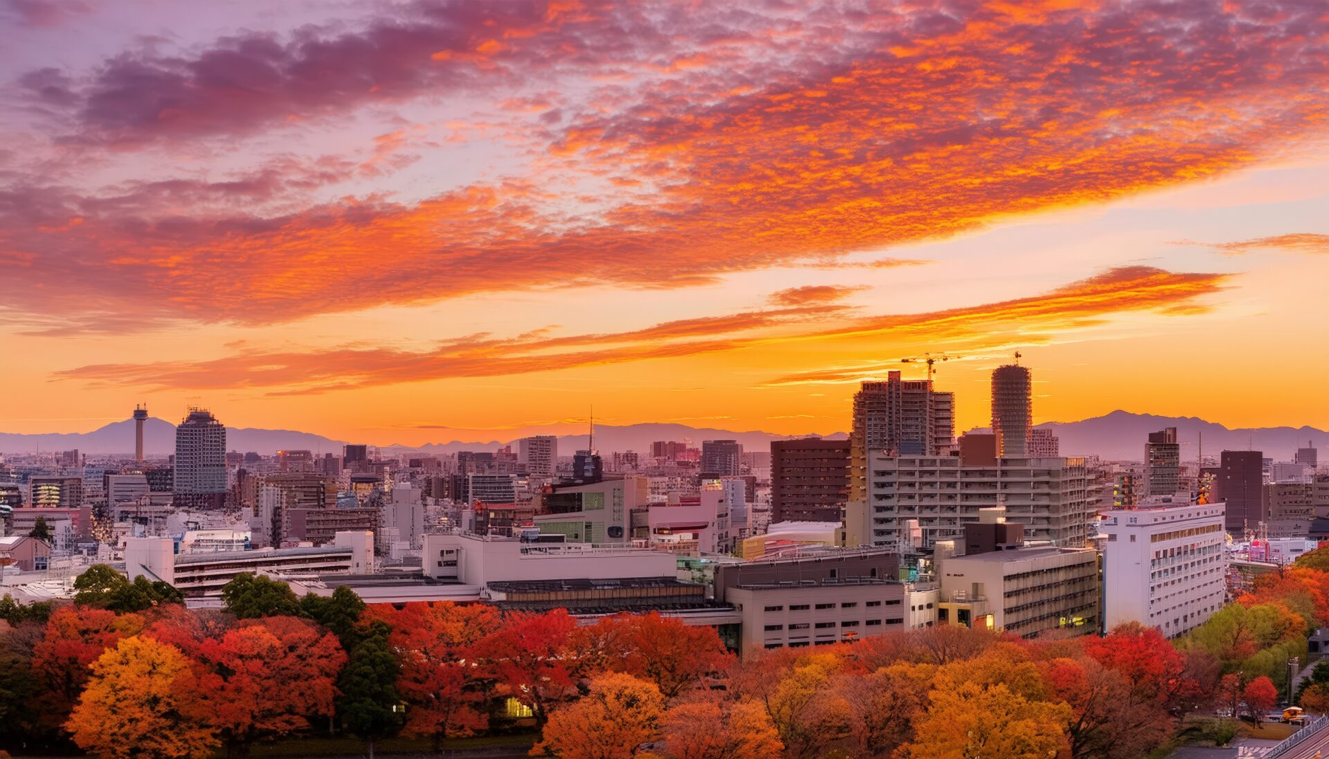 赤く染まる夕焼け空と街のパノラマビュー