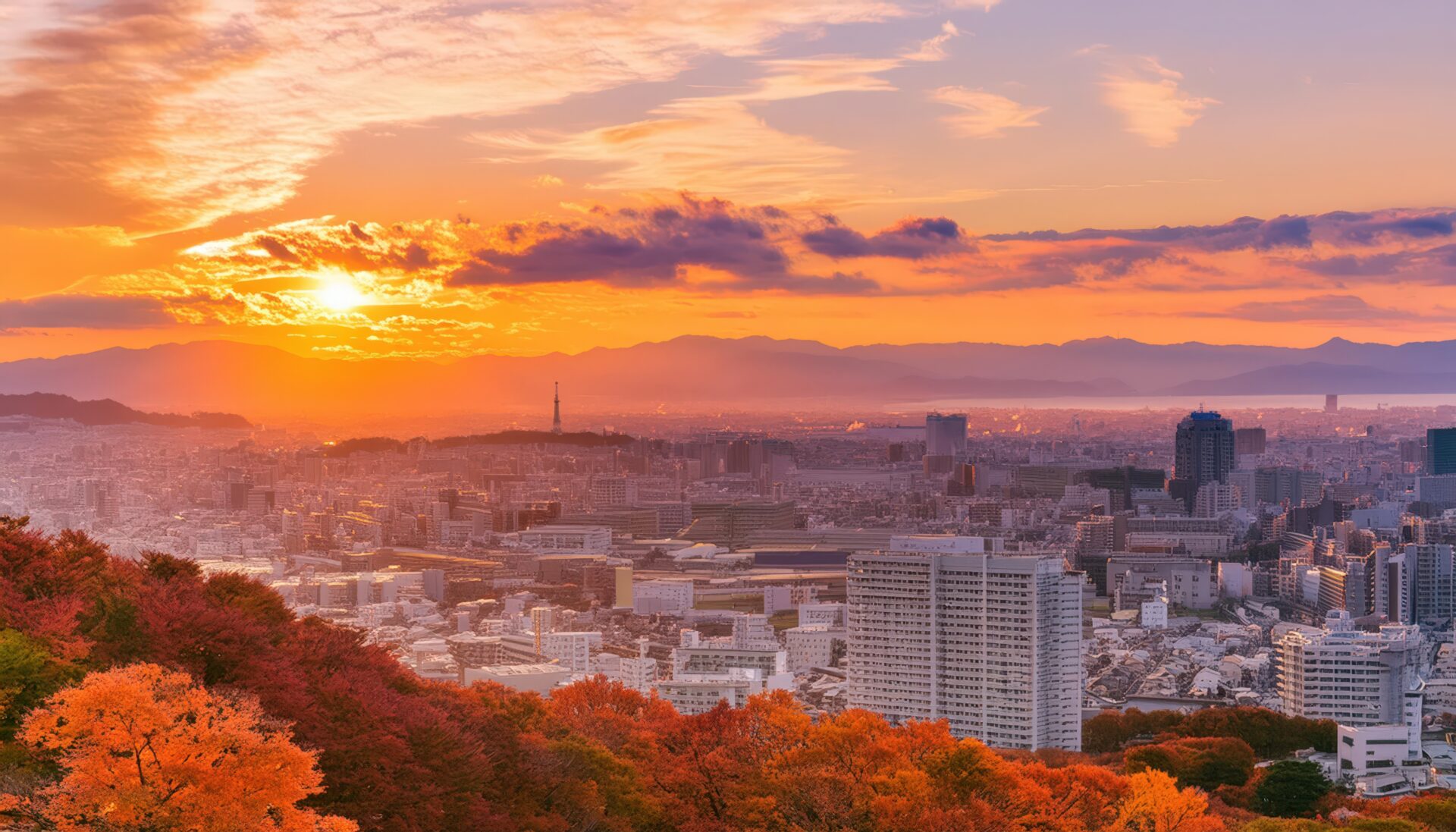 秋の木々と広がる夕焼けの都市景観