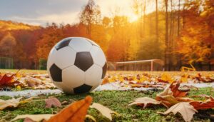 紅葉に囲まれたサッカーボールとゴールの風景