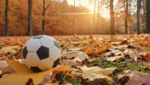 落ち葉の中に置かれたサッカーボール
