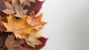 落ち葉が重なった秋の背景