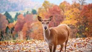 紅葉に囲まれた鹿