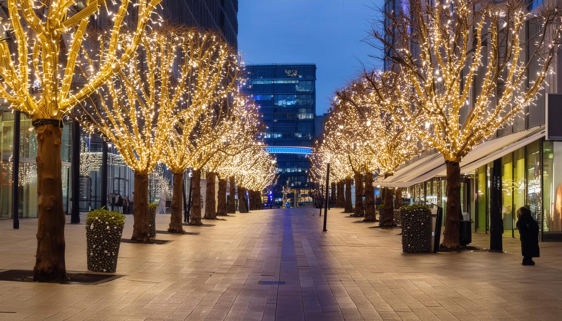 光輝く並木道の冬の夜景