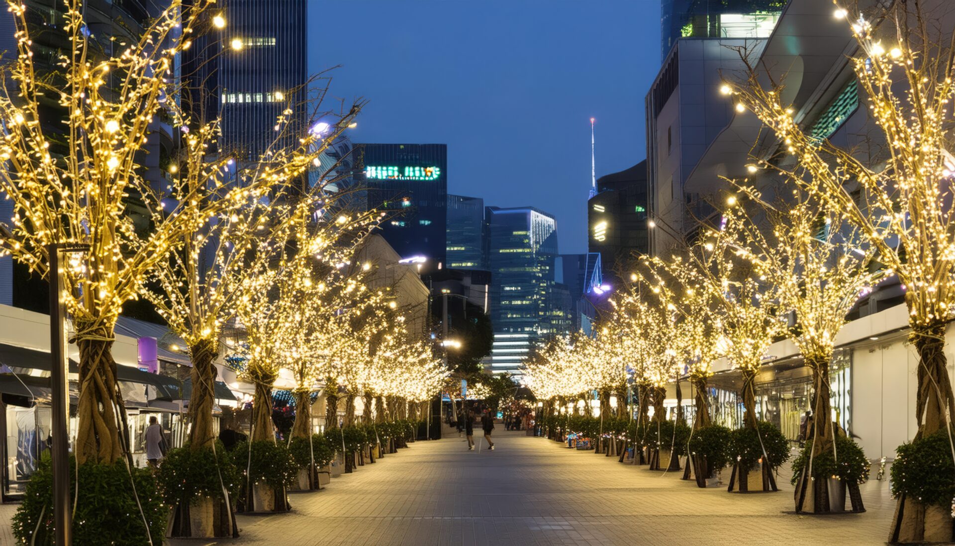 ライトアップされた街路樹の夜景