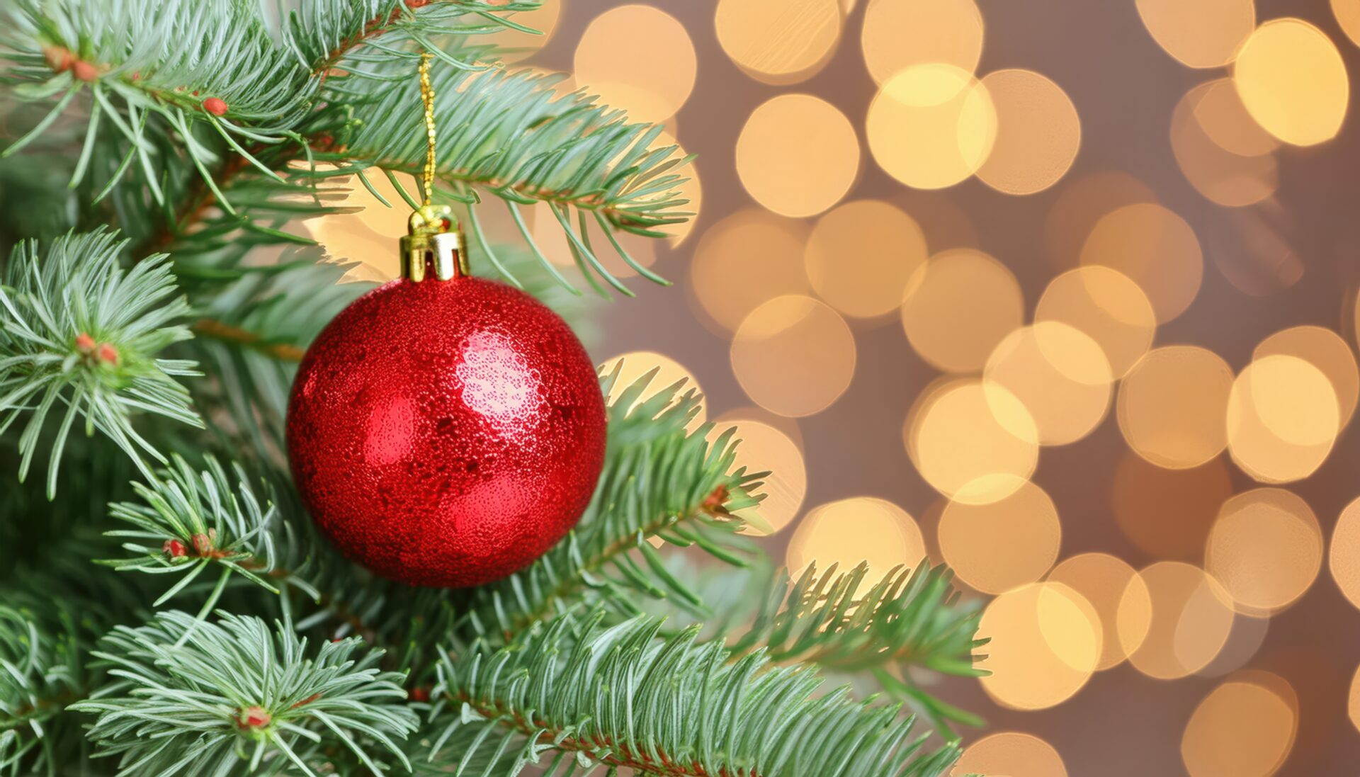 クリスマスツリーの飾りと光