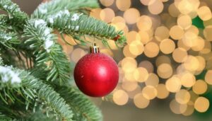 雪の結晶を飾った赤いオーナメント