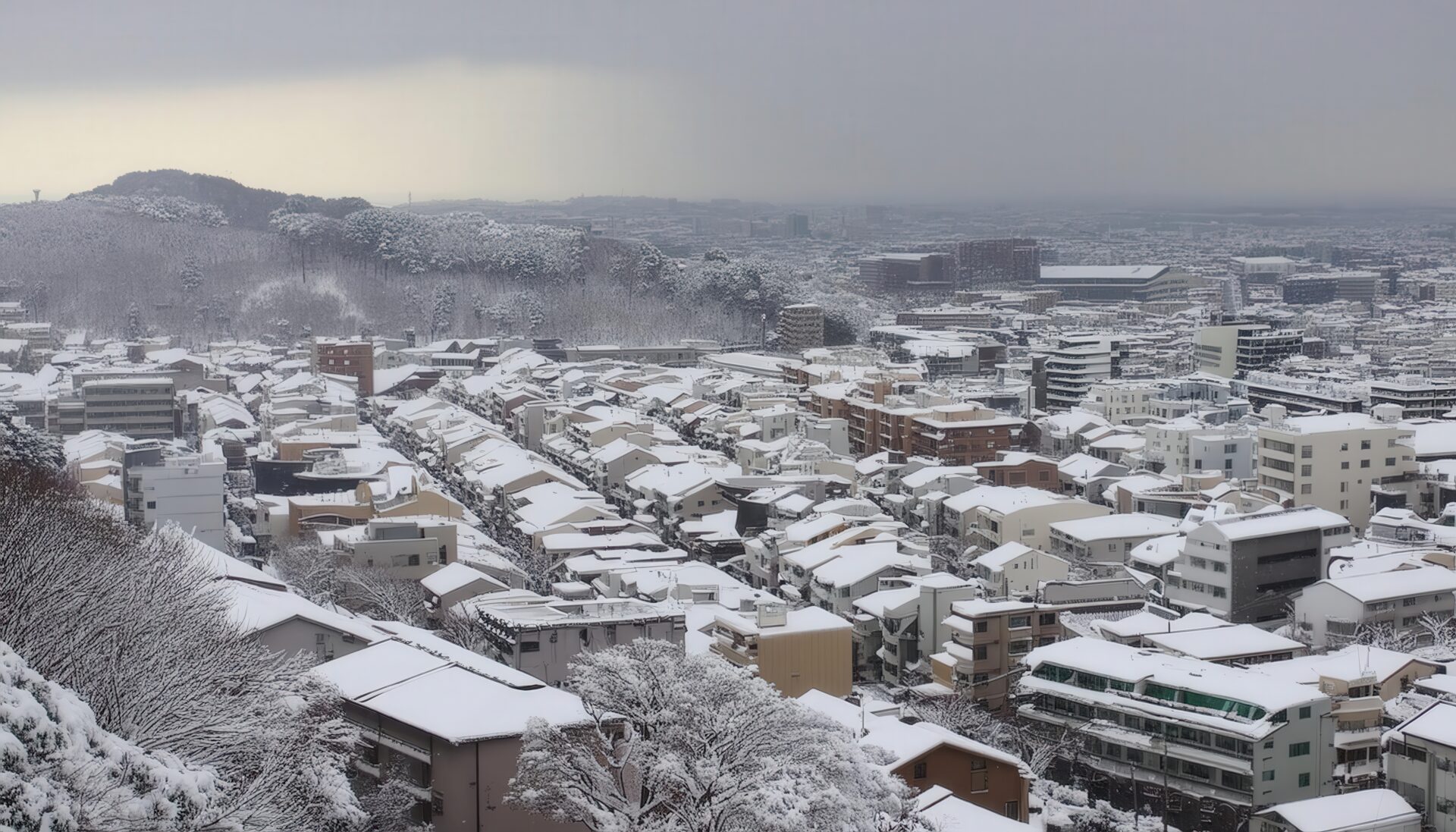 雪に覆われた日本の都市景観