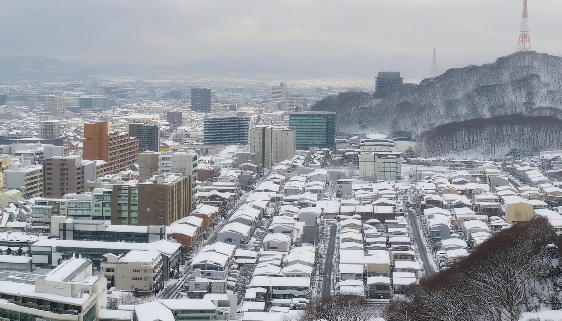 雪の降る日本の街並み