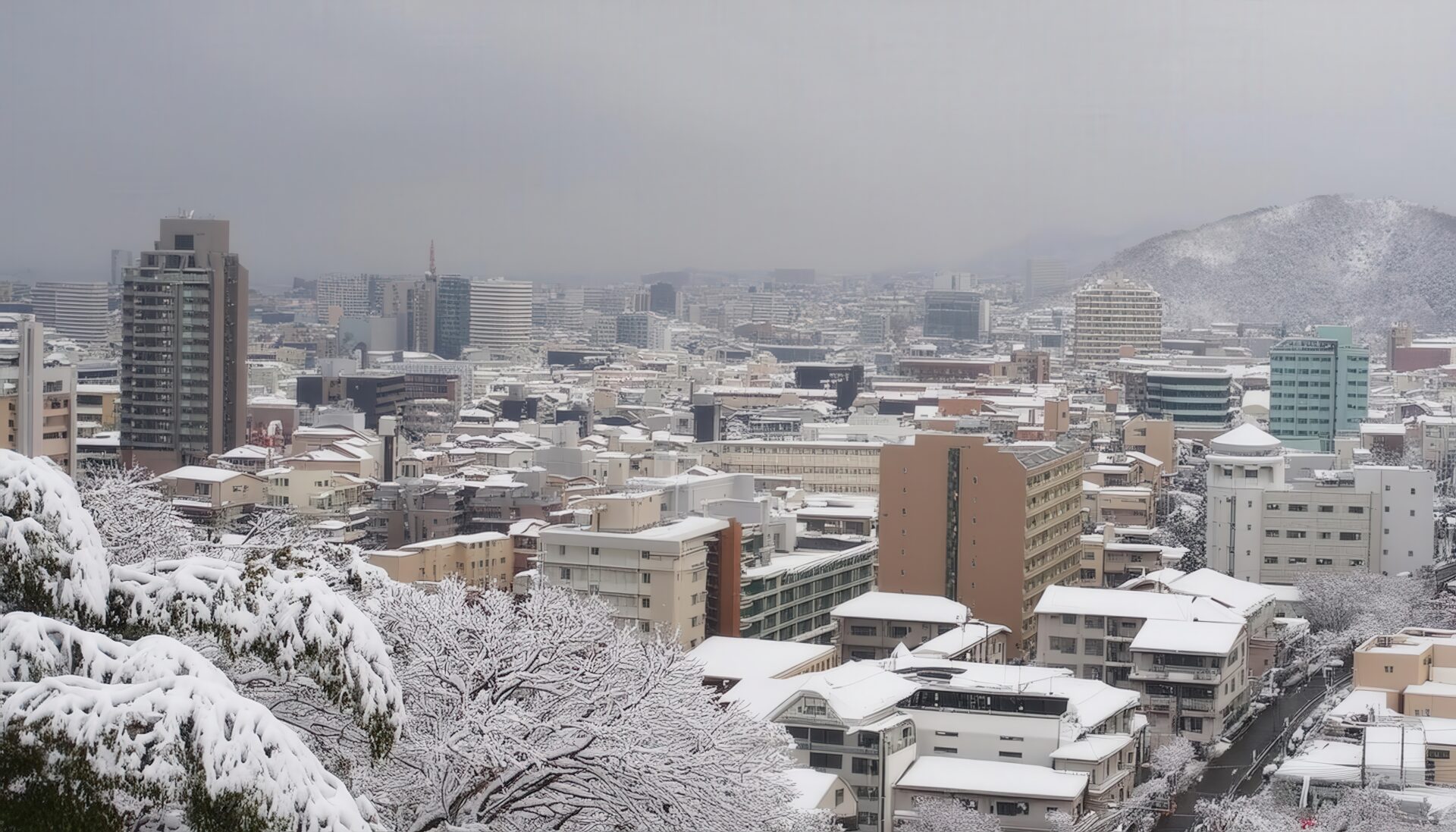 雪景色の中の都市と木々