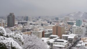 雪景色の中の都市と木々