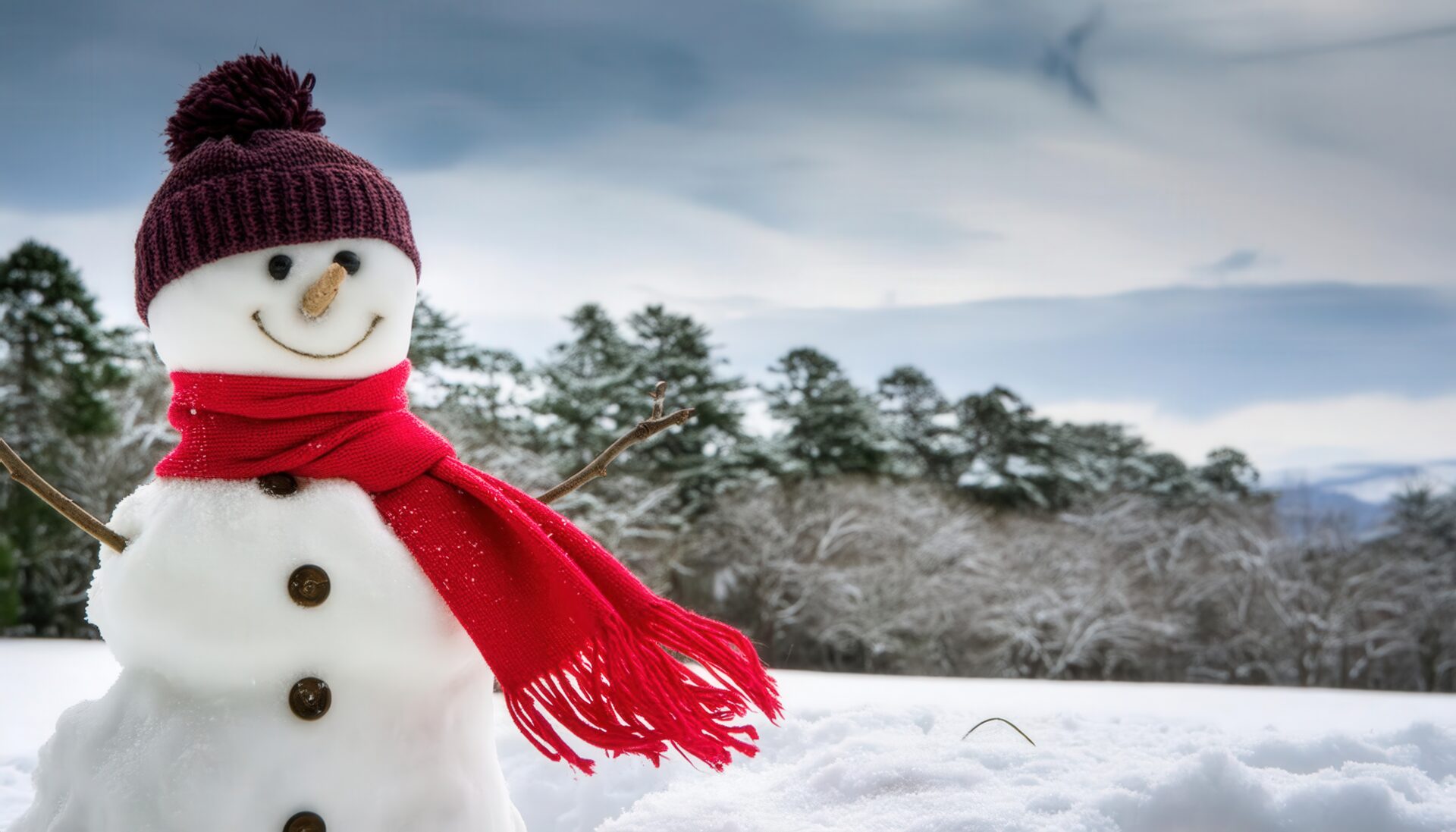 赤い帽子をかぶった雪原の雪だるま