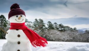 赤い帽子をかぶった雪原の雪だるま