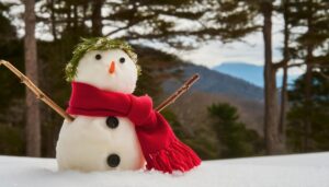 冬の森で飾られた雪だるま