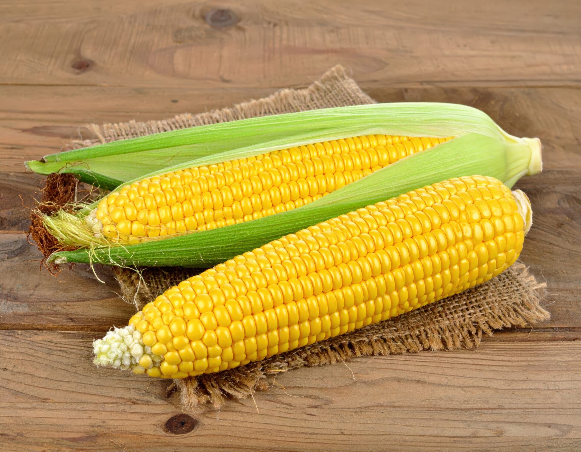 麻布の上に置かれた皮付きとむき出しのトウモロコシ