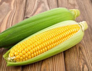 皮を半分むいたトウモロコシと皮付きのトウモロコシ