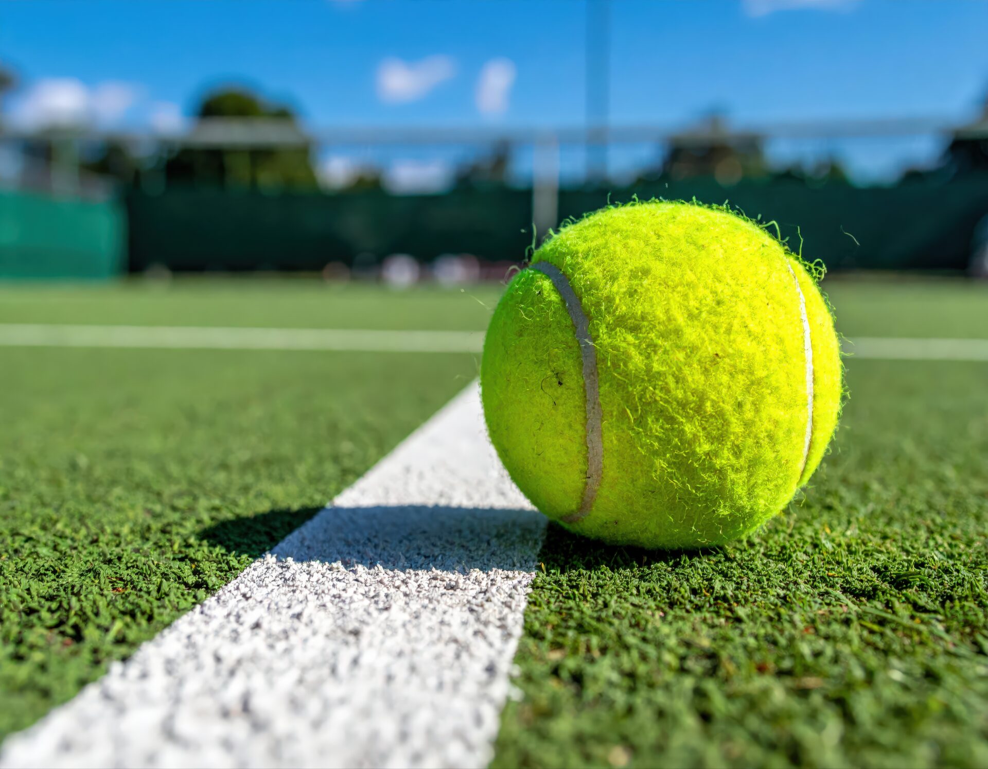 白線の上に置かれたテニスボール