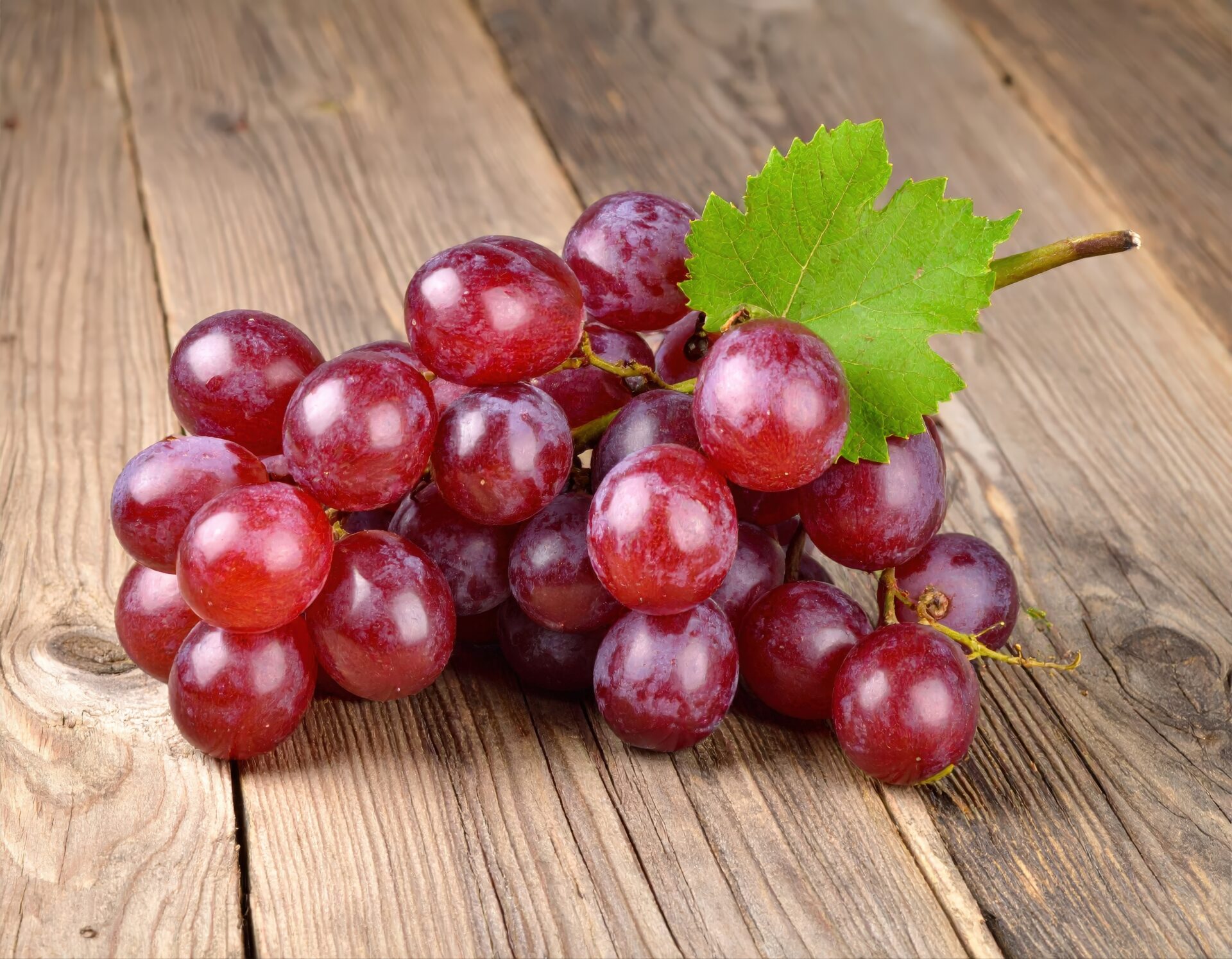 緑の葉と一緒に並べられた紫色のブドウ