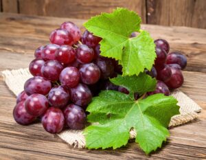 葉と一緒に置かれた濃い紫色のブドウの房