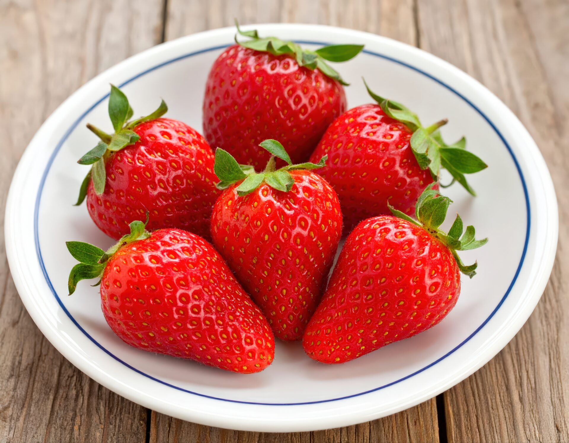 青い縁の皿に並べられたイチゴ