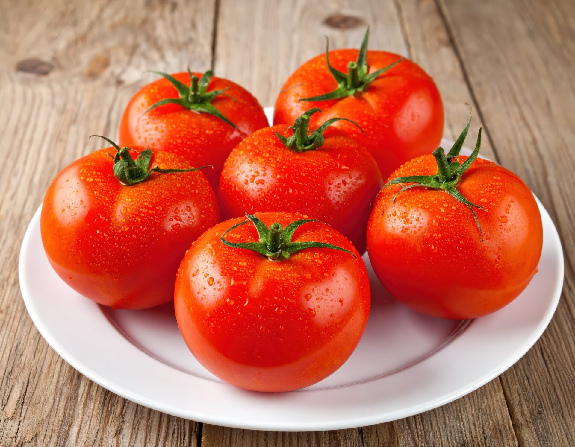 白い皿に盛られたたくさんのトマト