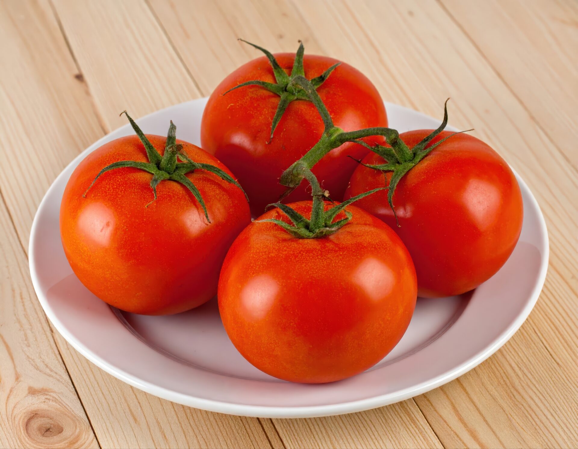 白い皿に盛られた4個のトマト