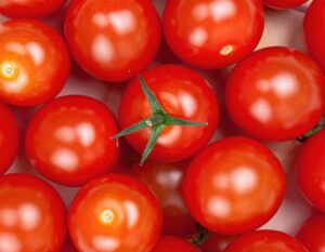 たくさんのミニトマトのクローズアップ