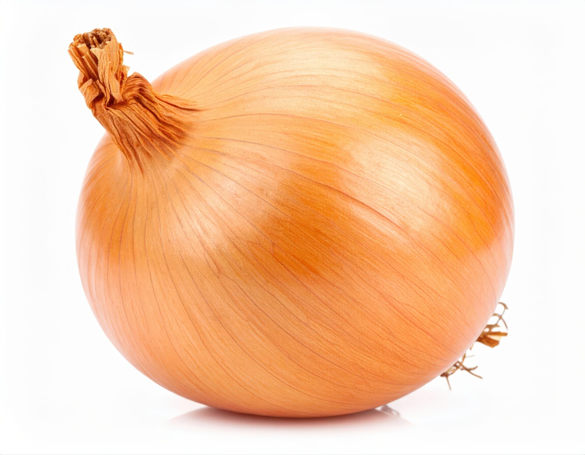 白背景の玉ねぎ