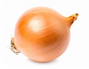 白背景の横向きの玉ねぎ