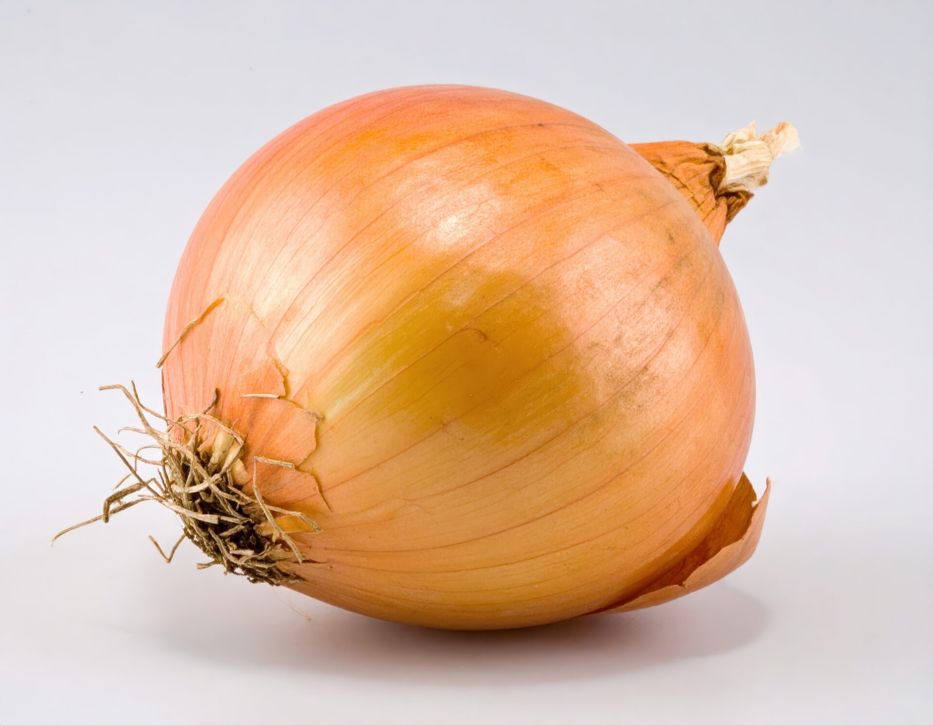 白背景に置かれた玉ねぎ