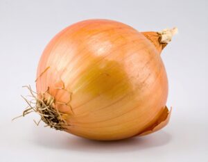 白背景に置かれた玉ねぎ