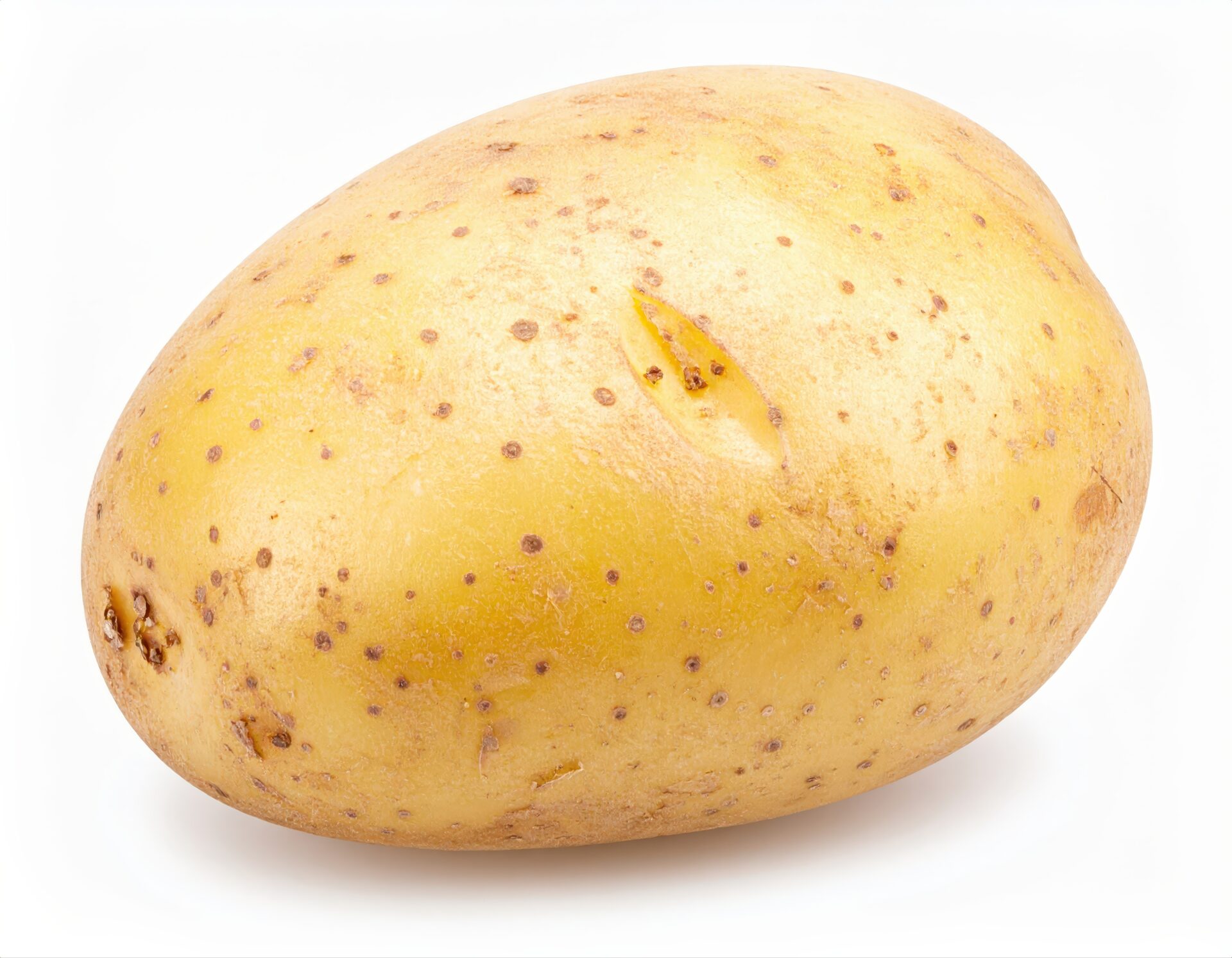 白背景のジャガイモ