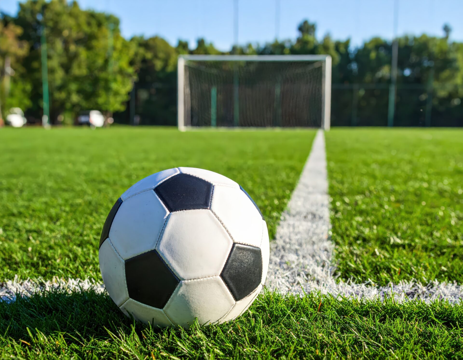 ゴール前のライン上に置かれたサッカーボール