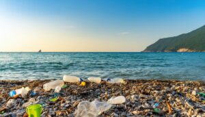 海辺に漂着したプラスチックと漂流物