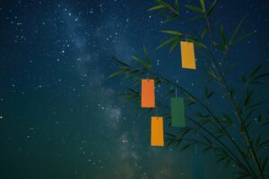 星空の下の笹に結ばれたカラフルな短冊
