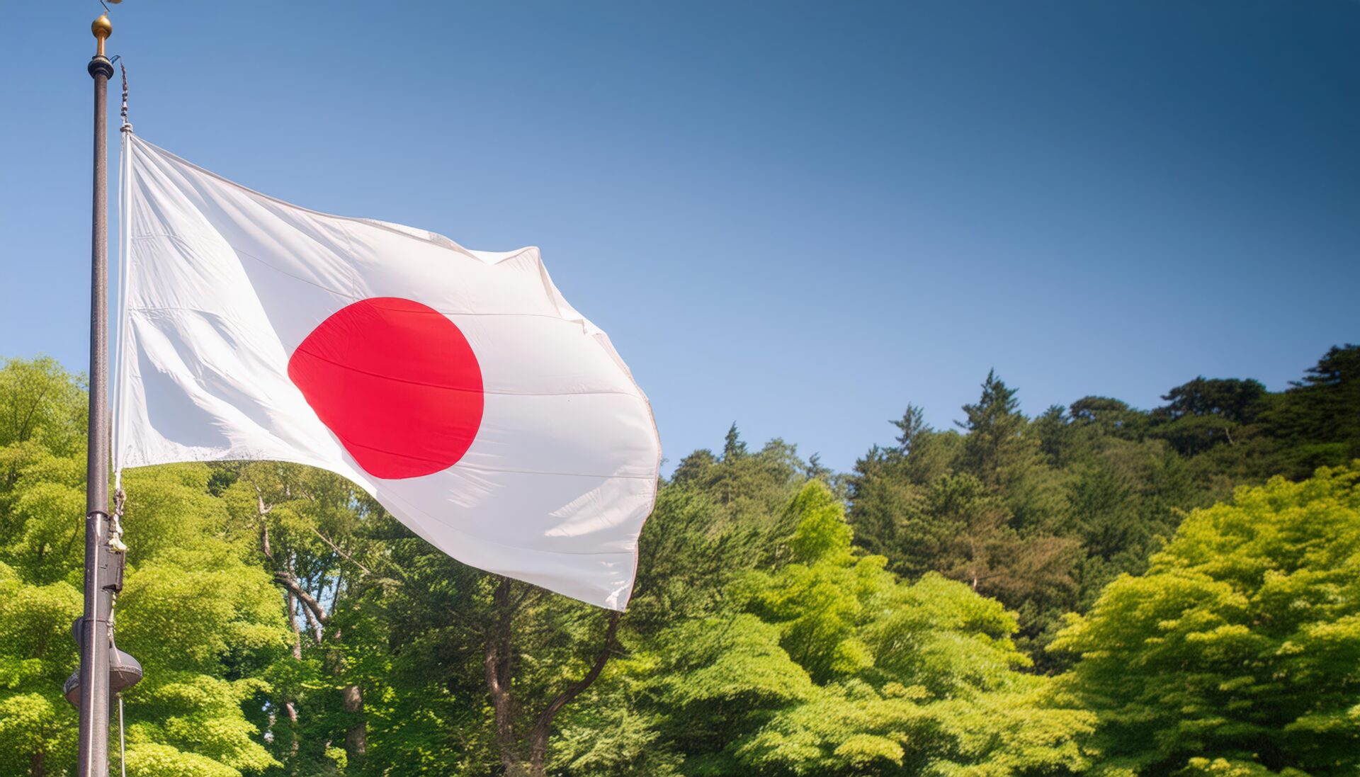 日本の国旗と新緑