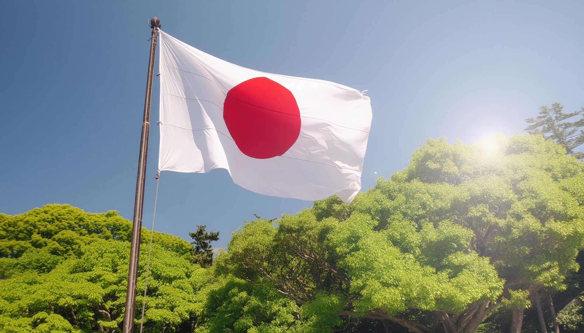木々に囲まれた日本の国旗