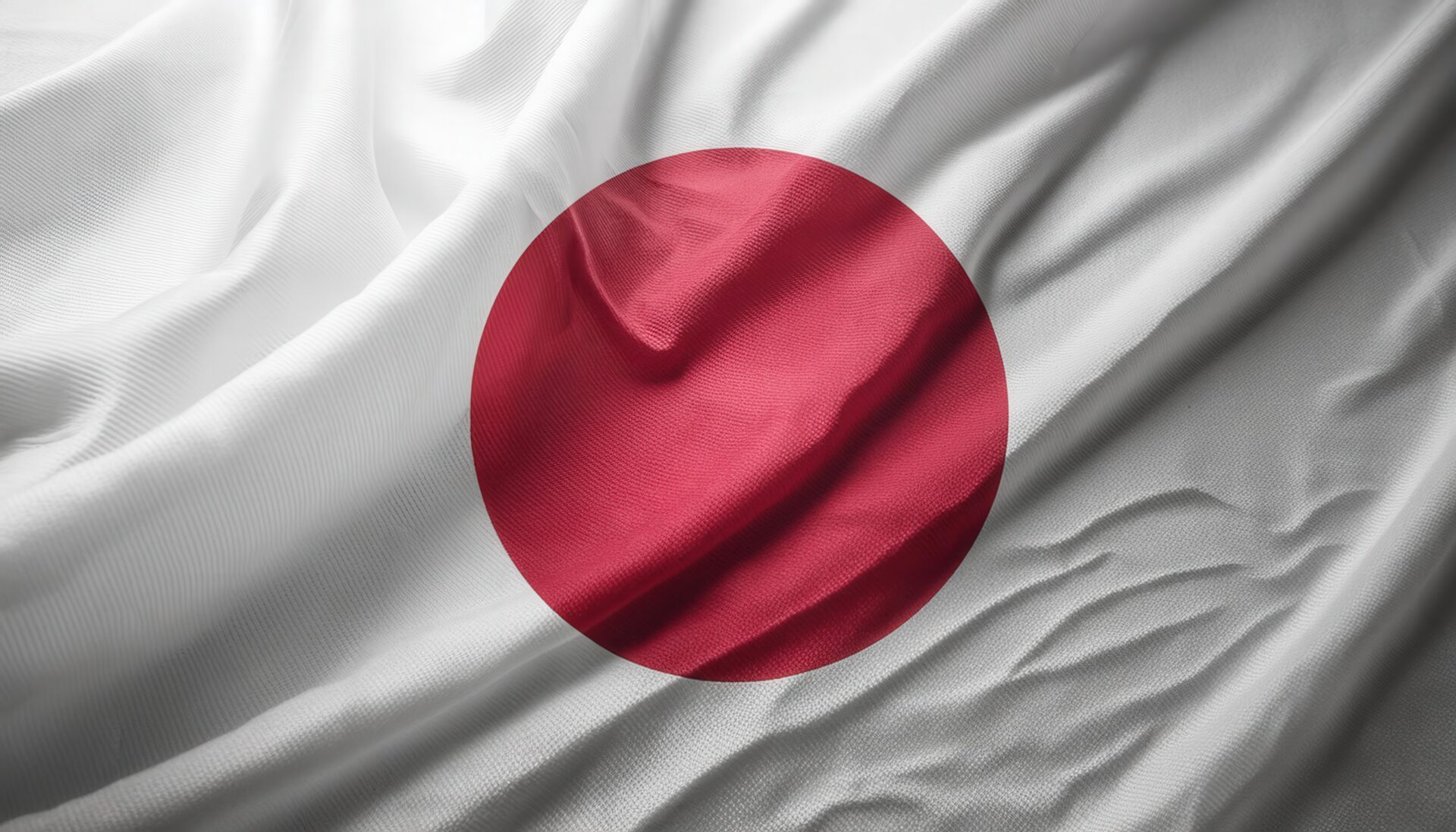 白地に日の丸の国旗