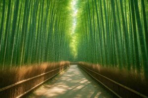 竹林の間を抜ける静かな遊歩道