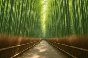 光が差し込む美しい竹林の小道