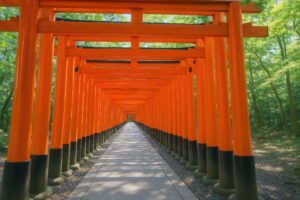 緑に囲まれた鳥居のトンネル