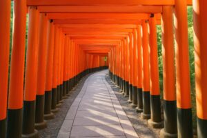 曲がりくねった鳥居の小道