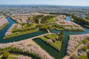 桜満開の五稜郭を上空から捉えた絶景