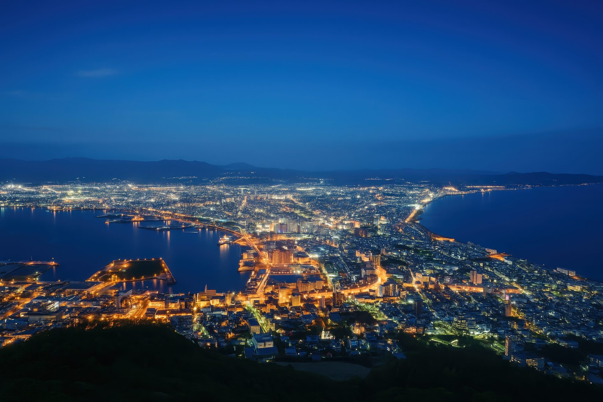漆黒の海と輝く街灯りが美しい函館の夜景