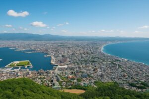 函館山から見下ろす市街地と港の昼景色