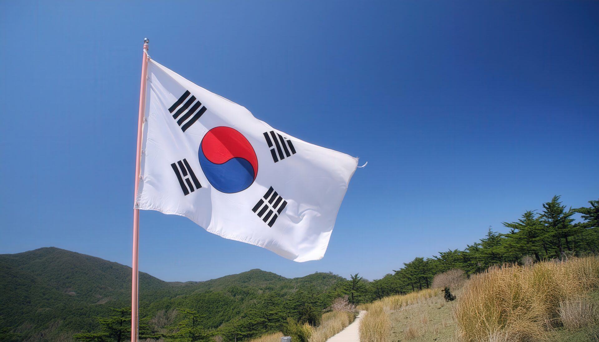 青空の下の韓国の国旗