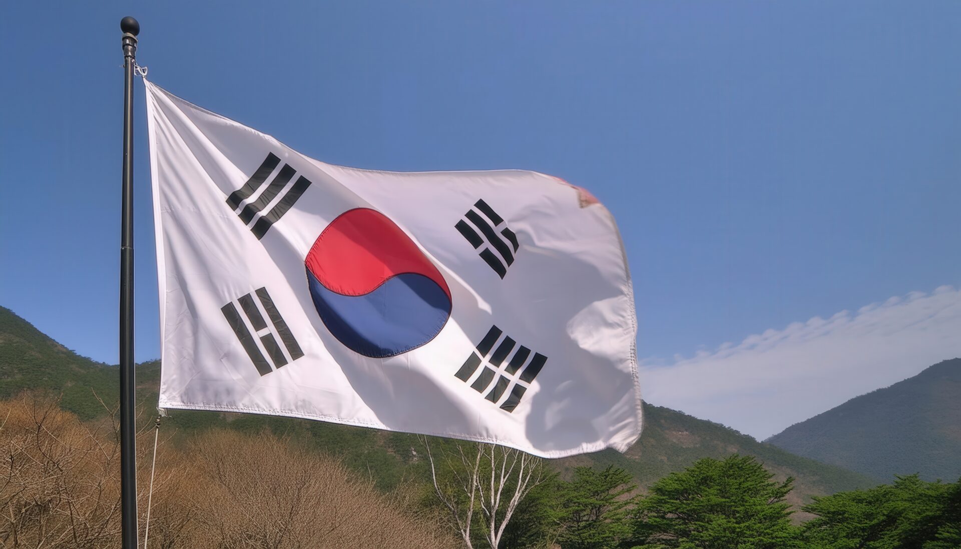 韓国の山岳地帯と掲げられた韓国の国旗