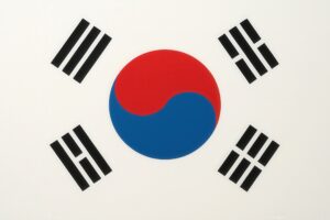 白背景に描かれた大きな韓国国旗のアップ