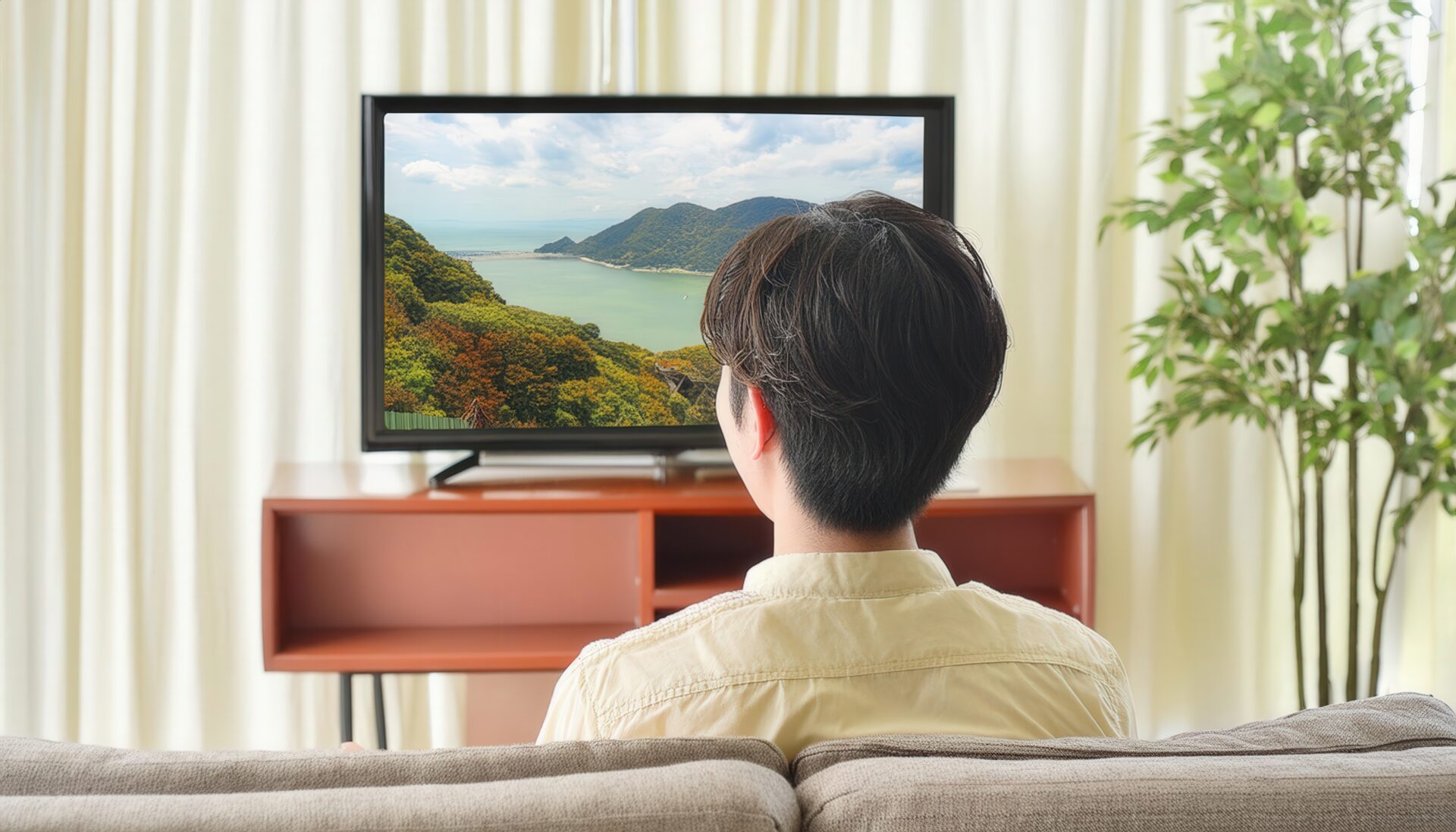 テレビで風景を観る後ろ姿の男性